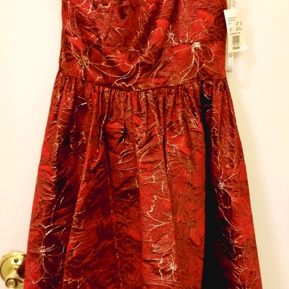 BNWT  beautiful red Christmas fifteen roses dress size 2!!!